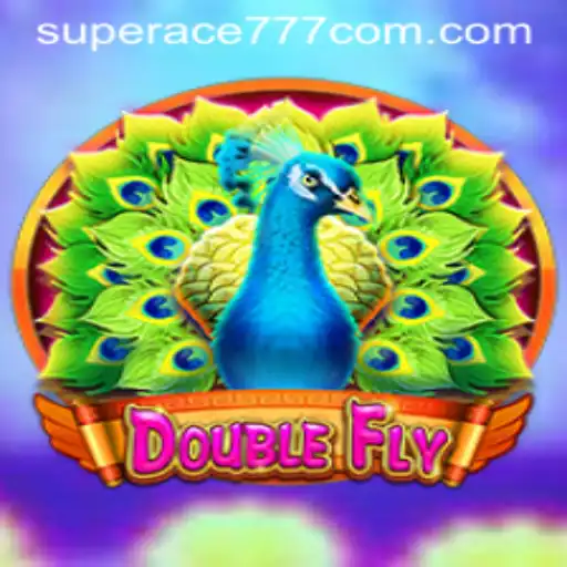 DoubleFly: A Journey into Adventure and Strategy